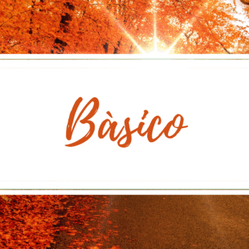 Seminario Básico