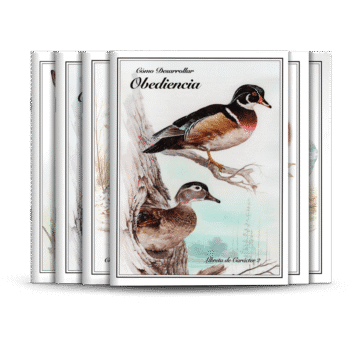 Libretas de Carácter 1-6
