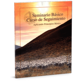 Curso de Segumiento
