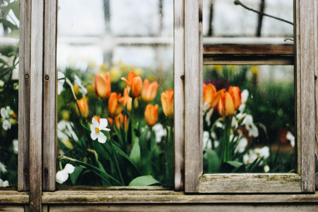amber-maxwell-boydell-udKvxHsTBwA-unsplash-scaled