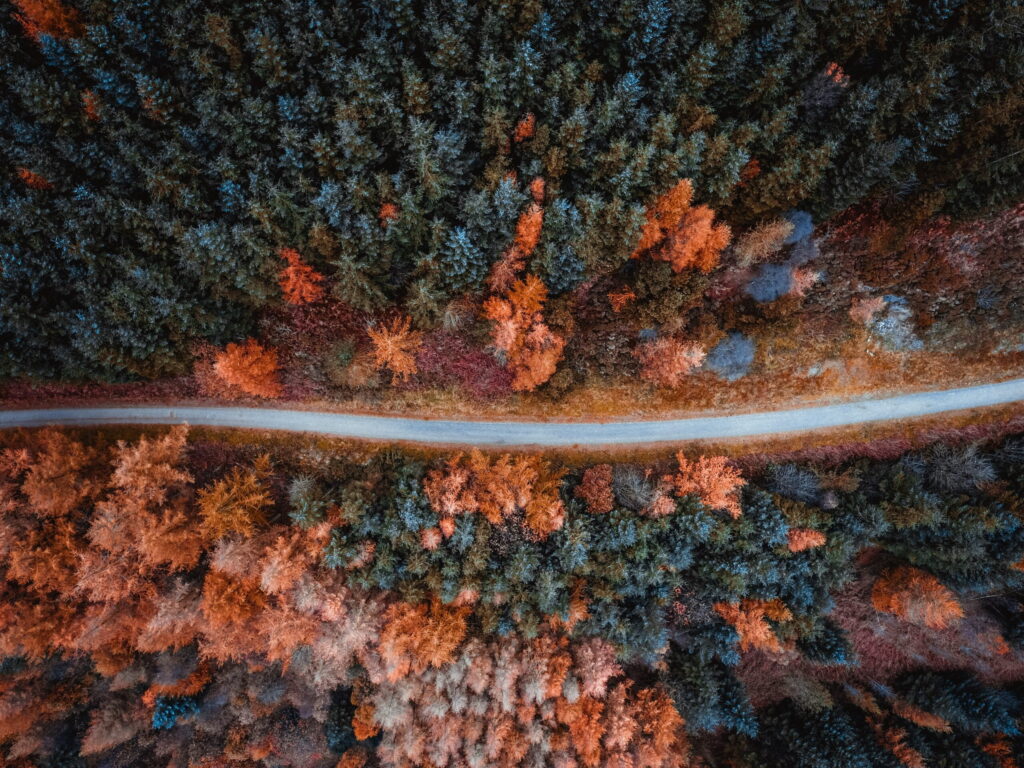 tolerance-humphrey-muleba-Zuvf5mxT5fs-unsplash-scaled